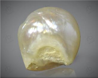 Natural Pearl (Basra) Certified  1.70 Cts { 0011(37) }
